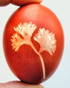 Simply Notable Onion Skin Dyed Easter Eggs